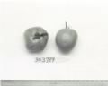 Click for 1 image(s) for this accession. FRUIT